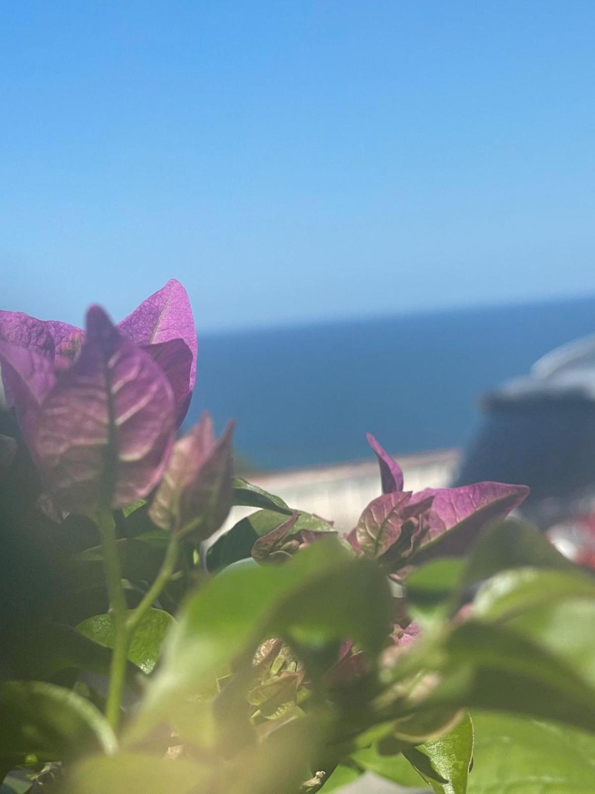Casa Sundaville Peschici Buitenkant foto