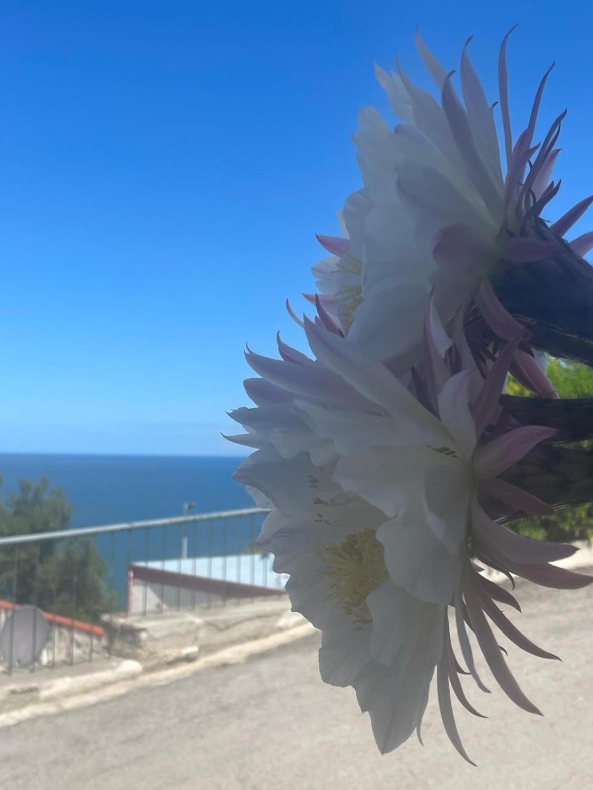 Casa Sundaville Peschici Buitenkant foto