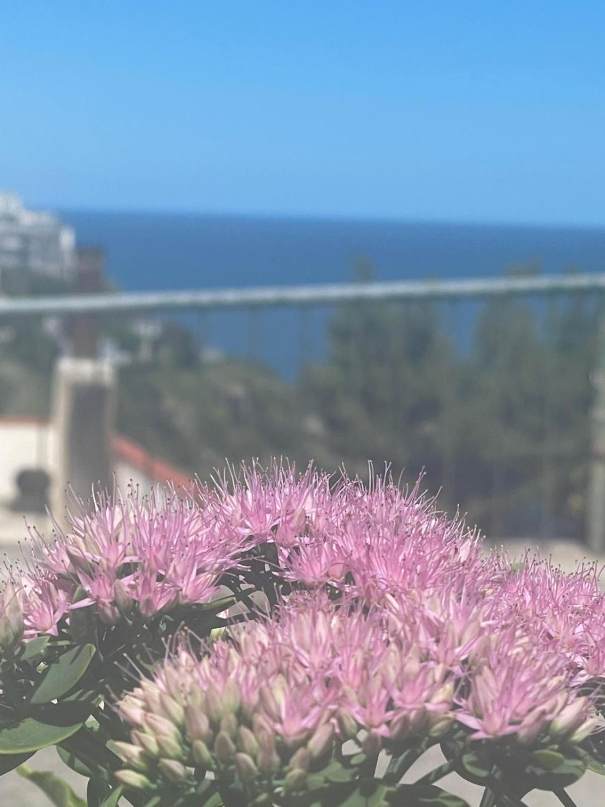 Casa Sundaville Peschici Buitenkant foto